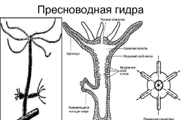 Ссылка omgomgomg рабочая