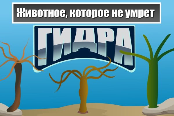 Омг омг ссылка на сайт тор